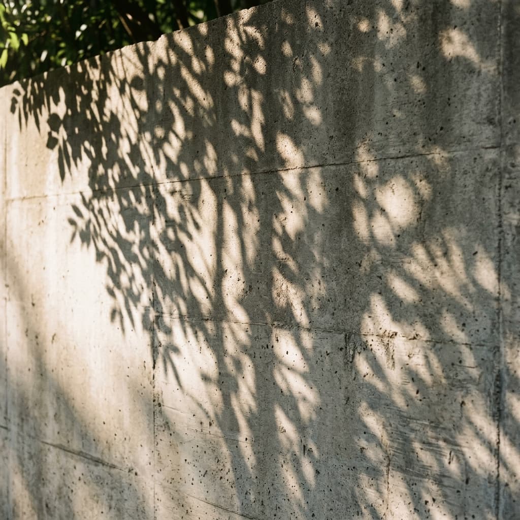 Shadow Play
